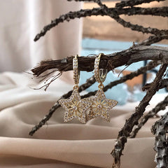 Argollas con dije de estrella color dorado