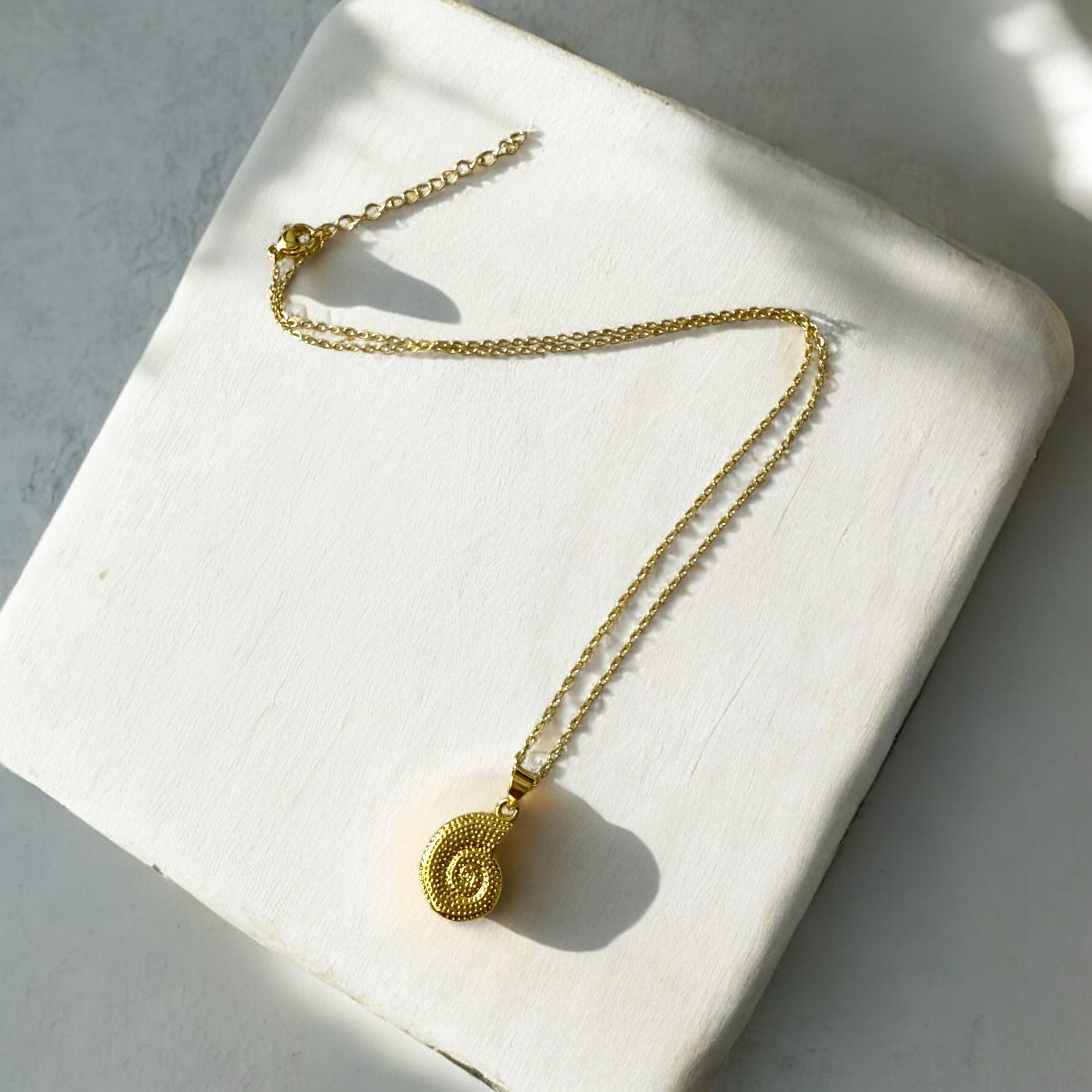 Collar de acero bañado en oro con dije de caracol texturizado y cadena fina de 1 mm y 45 cm, regulable. Diseño inspirado en la naturaleza.