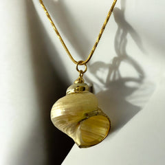 Collar de Acero Bañado en Oro con Caracola Natural