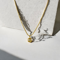 Collar de Acero Bañado en Oro con Concha y Perla